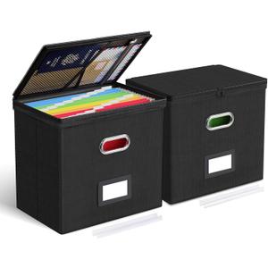 Oterri 2 Pack File Organizer Boxes with Lids, File Box with Mesh Pockets, Document Organizer Box for File Folders Letter Size, Zippers Filing Box for Home, Office, School (Black, Without Folders)