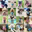 haapaw Dog Harness with Leash Set, No Pull Adjustable Reflective Step-in Puppy Harness with Thickened Padded Vest for Medium Dogs