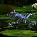 5 x Frog Toys 3D Printed - Realistic Jumping Frog Model with Movable Joints, STEM Educational Animal Toys, PLA Material, Science Classroom & Collectible Decor
