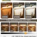 Hardwired Picture Light for Wall,39 Inch Modern Brass Dimmable Frame Light with Adjustable Swing Arm,3CCT LED Art Display Light for Paintings,120 Volts Gallery Wall Light,Hallway Vanity Light,12W