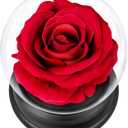 Rose Flowers Birthday Gifts for Women, Forever Flowers in A Dome, Mom Women Wife Girl Grandma on Christmas Anniversary Valentines