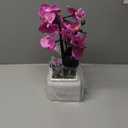 15" Tall Artificial Silk Phalaenopsis Orchid Flower Plant Pot Arrangements (Dark Blue-Purple)