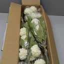 VIERENA 12 Pcs Faux Silk Pompon Mum Artificial Flowers for Vase -27", Bulk Fake Chrysanth Branches with Stems for DIY Bouquet Centerpieces Wedding Fillers Arrangements Shower Decorations (Cream)