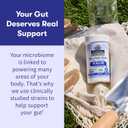 Garden of Life Probiotics for Men, Dr Formulated 50 Billion CFU 15 Probiotics for Digestive Health + Organic Prebiotic Fiber, Colon & Immune Support, Daily Gas Relief, Shelf Stable, 30 Capsules (EXP 03/01/26)