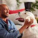 Milk-Bone Original Dog Treats Biscuits for Large Dogs, 10 Pounds (Packaging May Vary) (EXP 03/10/27)