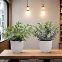 Artificial Plants Decoration Norfolk Potted Faux Fake Eucalyptus mini Cute sage Greenery Indoor Outdoor House Home Living Room Bathroom Coffee Table Desk Office Spring Decor 2 pots