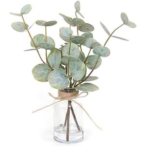 Amazon.com: Muhanjia Artificial Eucalyptus Stems in Glass Vase with Faux Water,3Pcs Fake Plant with Double-Sided Green Leaves for Centerpiece(Double-Sided Green Eucalyptus) : Home & Kitchen