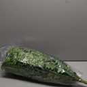 30" Artificial Boston Ferns, Fake Bush Plants, Large Faux Ferns with 96 Fronds for Outdoors Home Decor