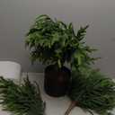 Nearly Natural 2ft. Norfolk Island Pine Natural Look Artificial Tree in Decorative Planter (Green)