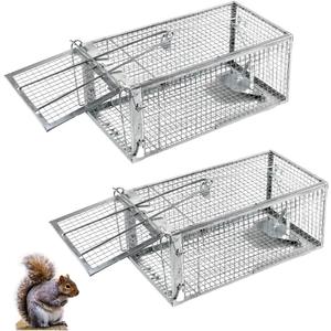 Humane Squirrel Trap - 2 Pack, Rat Trap That Works 12.5"x6.5"x5.5", Small Rodent, Chipmunk Trap Cages | Catch and Release | Reusable and Durable | No Kill Animal Trap | Indoor for Home and Outdoors