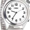 Talking Watch with Large Numbers and Expandable Strap, self-Setting for Visually impaired, Blind or Elder People