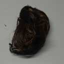 SEIKEA 12" Short Claw Highlight Ponytail Extension, PT001 Ella Wavy Curly Thick Jaw Clip in Hair Extensions Ponytail Soft Natural Looking Synthetic Hairpiece Dark Brown Golden Blonde Highlights