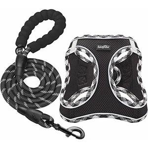 haapaw Dog Harness with Leash Set, No Pull Adjustable Reflective Step-in Puppy Harness with Thickened Padded Vest for Extra-Small/Small Dogs