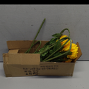 Hollyone 5Pcs Fake Mums Flowers Yellow Artificial Chrysanthemum Flowers Silk 22.8inch Long Stem Floral Arrangements Bouquets Faux Spider Mum Flower Pincushion Flower Bush Spring Home Decor