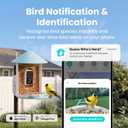 NETVUE by Birdfy Smart Bird Feeder with 2K HD AI Camera Solar Powered, Wireless Wildbird Watching, Live Stream&Color Night Vision, Auto-Capture & Notify, Free Cloud Storage(AI by Subscription)