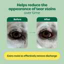 Earth Rated Vet-Developed Pet Eye Wipes, Hypoallergenic Cleaner for Dogs & Cats Eyes to Remove Dirt & Discharge, Fragrance Free, 70 Count (Unscented)