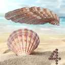 4 Piece 5-6" Lion's Paw Sea Shellfor Baking Smudging Crafts Beach Decor - Ocean Beach Seashells Perfect for Home Decoration, Art Craft, Vase Filler Fish Tank