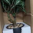 Artificial Bonsai Tree, Small Bay Laurel Bonsai Tree 13" Indoor Bonsai Tree Fake Potted Plant Decorative Fake Desk Plant Decor with Ceramic Pot for Home Office Living Room Bedroom Bathroom Table Shelf