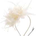 DRESHOW Fascinators Hats for Women Tea Party Fascinator Hats Vintage 50s Headwear Cocktail Wedding Church Derby Hat