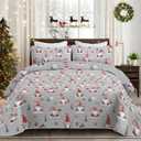 Dobuyly Christmas Quilt Set Queen Size, Red Grey Santa Claus Pattern Bedspread Christmas Bedding Set, Soft Polyester Winter Holiday Coverlet Set (96"x90", 3 Pieces) (Gray)