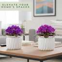 6 Inch African Violet Pots Self Watering, Ceramic Planter with Water Reservoir and Fill Lines, 4 Inch Opening, Indoor Flower Pot, Holds 3 Weeks of Water (2 Pack White)