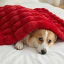 Leximan Cozy Faux Fur Throw Blanket for Couch, Reversible Plush Fluffy Decorative Bubble Throw for Sofa and Living Room, Soft Lap Blanket for Bed, Dog & Cat (Red, 40''x50'')