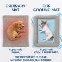 Pbed Dog Cooling Bed Summer Sleeping Cool Ice Silk Bed for Small, Medium, Large Dogs & Cats Breathable Washable Pet Beds with Non-Slip Bottom Blue (Blue Mat, Medium)