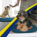 Muddy Mat® Shown on TV Super Absorbent Microfiber Dog Door Mat for Muddy Paws, Non-Slip Washable Pet Rug, Quick Dry Chenille Entryway Carpet, Machine Washable Mat, Atlantic Green Oval 5ft x 7ft