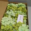 50 Pcs Faux Green Mix Hydrangea Artificial Flowers Bulk, Fake Silk Hydrangea Flowers Heads with Stems for Wedding Decorations Garden Party Baby Shower Porch Home Decor Table Centerpieces