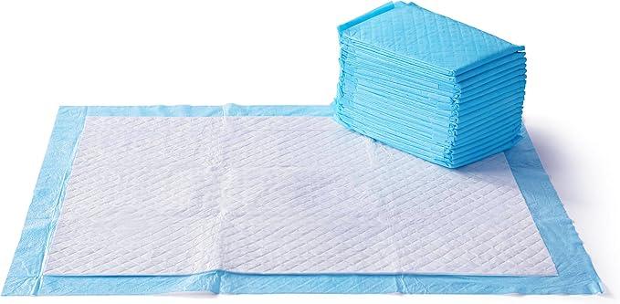 Basics LeakProof Dog and Puppy Potty Training Pee Pads with QuickDry 5Layer Super Absorbent Design, Regular Size 22 x 22 inch, Blue & White, 100 Count