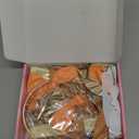 Orange-Peach Fall Boho Birthday Party Decorations - 62pcs Happy Birthday Banner, Beige Rustic Paper Lanterns, Streamers, Tissue Pom Poms, Burnt Orange Apricot Party Balloons, Fall Backdrop Decor