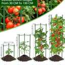 Tomato Cages,6 Pack MQJIAZHI 51.2inch Adjustable - Rust-Proof Tool-Free Trellis for Raised Garden Bed & Climbing Plants
