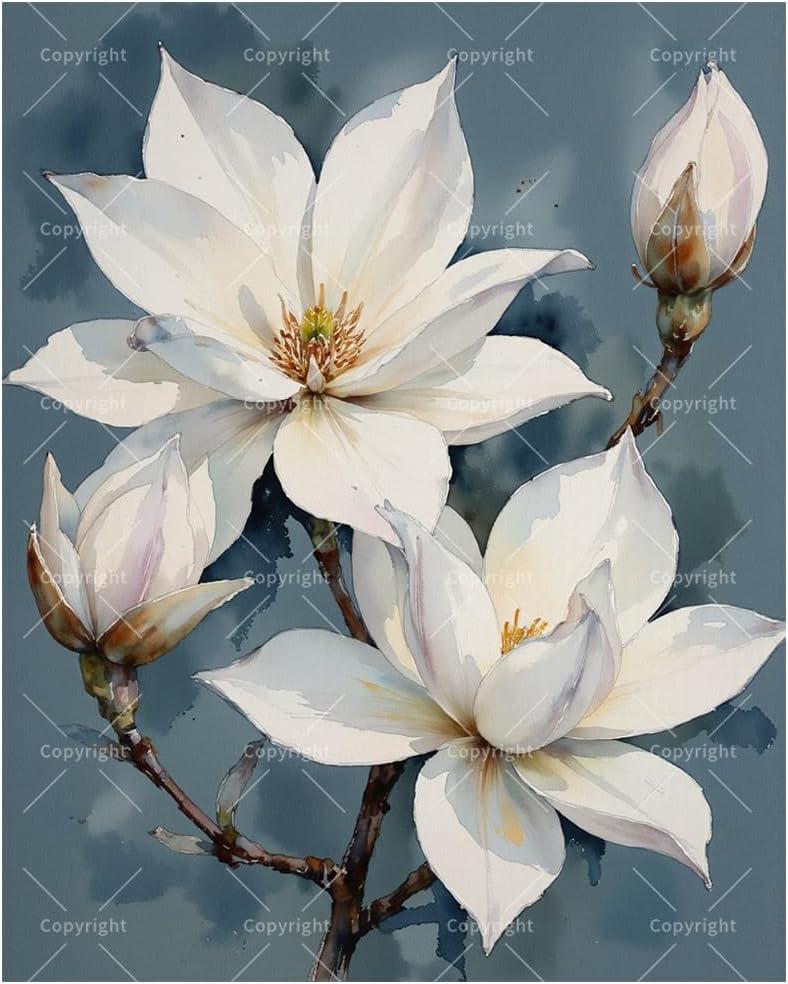 TAOPAOLAB Botanical Art Paint by Numbers Kit for Adults - DIY White Magnolia Flowers on Branch Painting on Canvas 16x20In, Framed Acrylic Paint Set for Beginners, Art for Home Decoration/Gifts