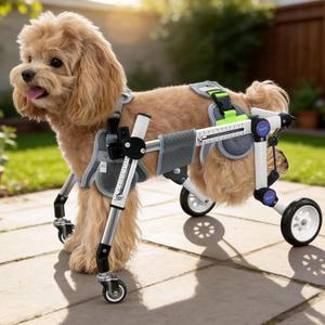Adjustable Four Wheel Dog Wheelchair for Full Body Mobility Support,Lightweight Front & Rear Legs Mobility Aid Stable Dog Walker, XXS for 6-11lbs、XS for11-18lbs、 XSLW for 17-33lbs.Different sizes are designed to match your pet’s body structure for a stable and comfortable fit.