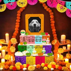 Geelin Dia De Los Muertos Altar Ofrenda Wooden Box with Painting Set DIY Wooden Day of Dead Decorations with Photo Frame Remembrance Memory Shadow Box for Home Halloween Party Gifts(Classic)