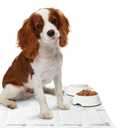 Medline Ultrasorbs Drypads, 30" x 36", 25 Count, Super Absorbent Disposable Bed Pads, Large Incontinence Bed Pads, Chucks Protective Underpads, 10 Times More Absorbent, For Adults, Elderly