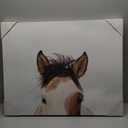 JLA Home It's in the Eyes Printed Canvas 28 x 22 in