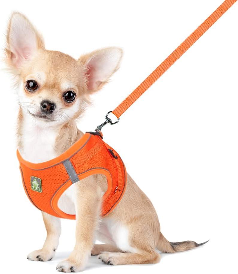 FEimaX Dog Harness and Leash Set, No Pull Breathable Soft Mesh Puppy Vest Harness Reflective Adjustable Pet Harnesses for Small Medium Dogs and Cats - Outdoor Easy Control for Walking, XS