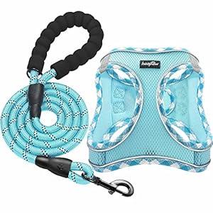 haapaw Dog Harness with Leash Set, No Pull Adjustable Reflective Step-in Puppy Harness with Thickened Padded Vest for Extra-Small/ Small Medium Dogs