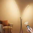 Modern 85.4" ARC Floor Lamp for Living Room, 2 Lights Arched Standing Tall Lamp with Remote, Bright Curved Lamp, Dimmable LED Corner Light for Bedroom, Office, Den, Black, B61LD05