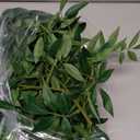 Ling's moment 6ft Rosa Banksiae Artificial Garland, Silk Laurel Leaf Vine for Wedding Arch, Table Centerpiece & Event Decor, Faux Greenery Filler for Elegant Arrangements (Grn- Tender Green)