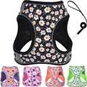 Small Dog Harness and Leash Set, Step in Dog Harness No Pull for Walking Running Training, Puppy Essentials for Dogs Cat Bunny, Adjustable Reflective Dog Vest Harness. (Black, M)