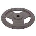 4 PCS Standard Cast Iron Weight Plate for Strength Training & Weightlifting, Multiple Sizes 10 LB