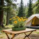 10pcs Flower Mud Fixing Plate, Floral Foam Bowls Rectangle Flower Arrangement Holder Tray Flower Arrangement Base for Table Party Wedding Festival Flower Decor