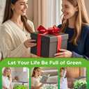 Hydroponics Growing System Kits,Smart Indoor Herb Garden with 24W LED Grow Light Planting Height Adjustablewith,12 Pods Plant Germination Kit,with Quiet Pump, Ideal Gift for All Ages