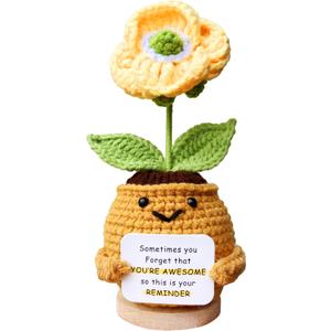 2 x Positive Emotional Support Crochet Corn Poppy Flower Plant  Thank You Appreciation Gift for Women, Men, Mom, Teacher, Coworker, Friend