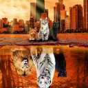 Jigsaw Puzzles 1000 Pieces Puzzles for Adults, Cat Tiger Puzzle Animal Adult Toys, 27x20 Unique Difficult and Challenge Large Puzzle Game Toys Gift (Dream)