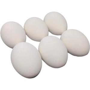 Geiserailie 24 Pcs Ceramic Eggs Fake Eggs DIY Ceramic Crafts for Help Laying Hen for Farm Home Nesting Box Agricultural Tool(White)