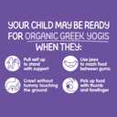 Happy Baby Organics Baby Snacks, Greek Yogis, Freeze Dried Yogurt &Veggie Fruit Snacks, Gluten Free Snack for Babies 9+ Months, Blueberry & Purple Carrot, 1 Ounce (EXP 11/05/26)