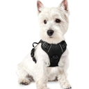 rabbitgoo Dog Harness No Pull with 2 Leash Clips, Adjustable Soft Padded, Reflective Oxford No Choke Pet Vest with Easy Control Handle for Puppy, Black, XS